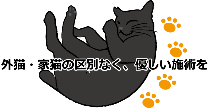 外猫・家猫の区別なく、優しい施術を