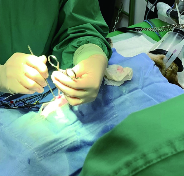 安全な吸入麻酔